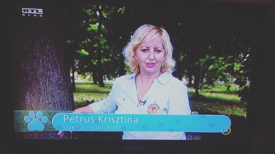 RTL Klub - Kedvencek magazin forgatások emlékei 2017.